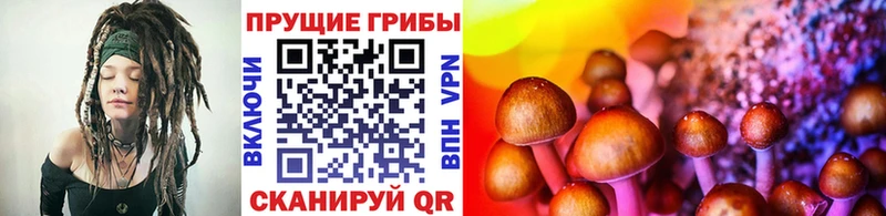 Галлюциногенные грибы прущие грибы Новоуральск