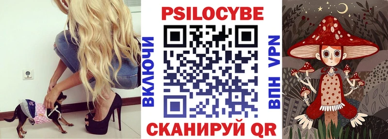 Псилоцибиновые грибы Cubensis  Новоуральск 